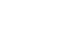 FIAMM