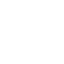 CHINT